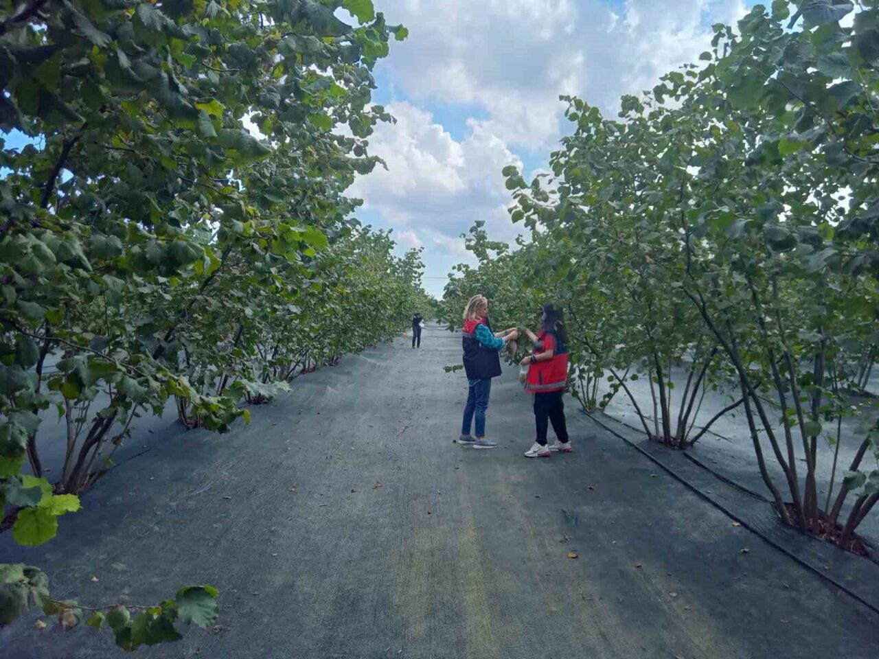 Samsun İl Tarım ve Orman Müdür Vekili Bekir Karaosmanoğlu, il