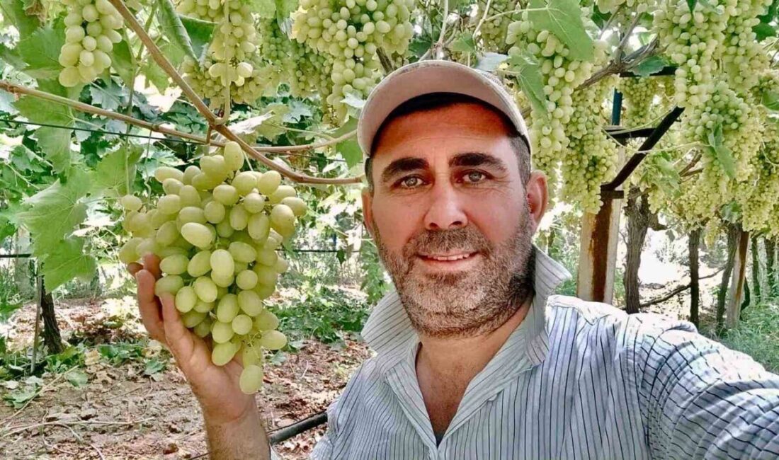 Sarıgöllü üzüm üreticisi Emin Çepel, yetiştirdiği üzümlerle çevreye örnek oluyor.