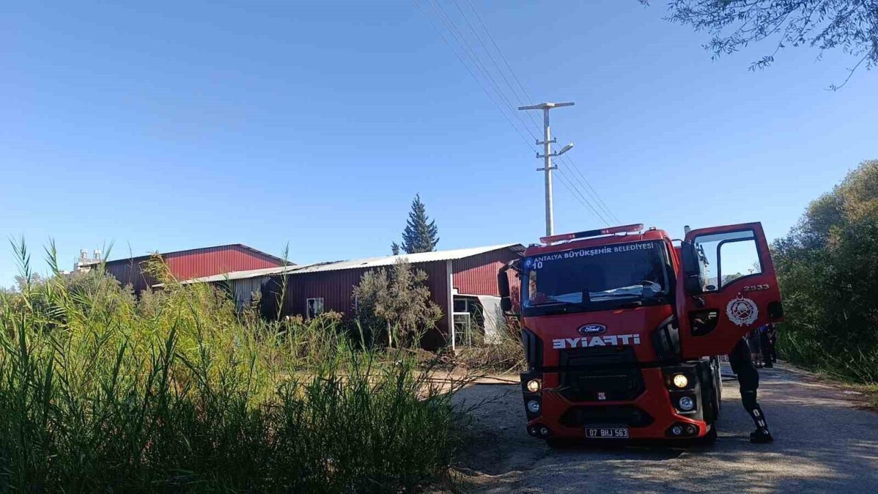 Antalya’nın Manavgat ilçesinde çıkan yangın bir gıda toptancısının deposunda büyük