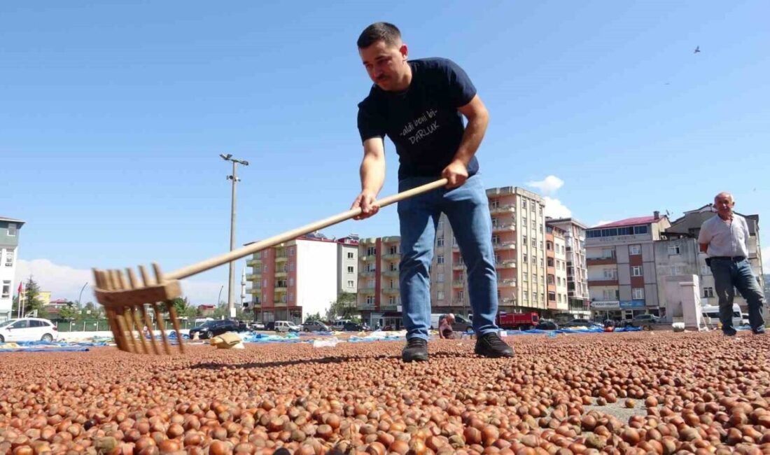 Giresun’un Espiye ilçesinde sosyal medya sayfasından arabası için satış ilanı