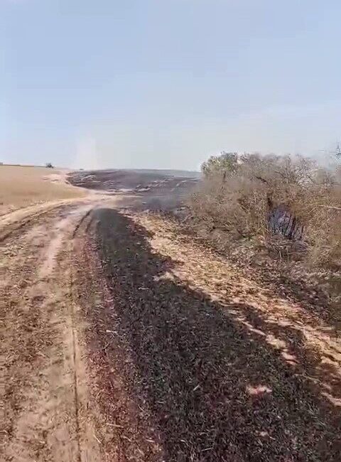 Tekirdağ’ın Kapaklı ilçesinde çıkan yangında 8 dönüm arazi kül olurken
