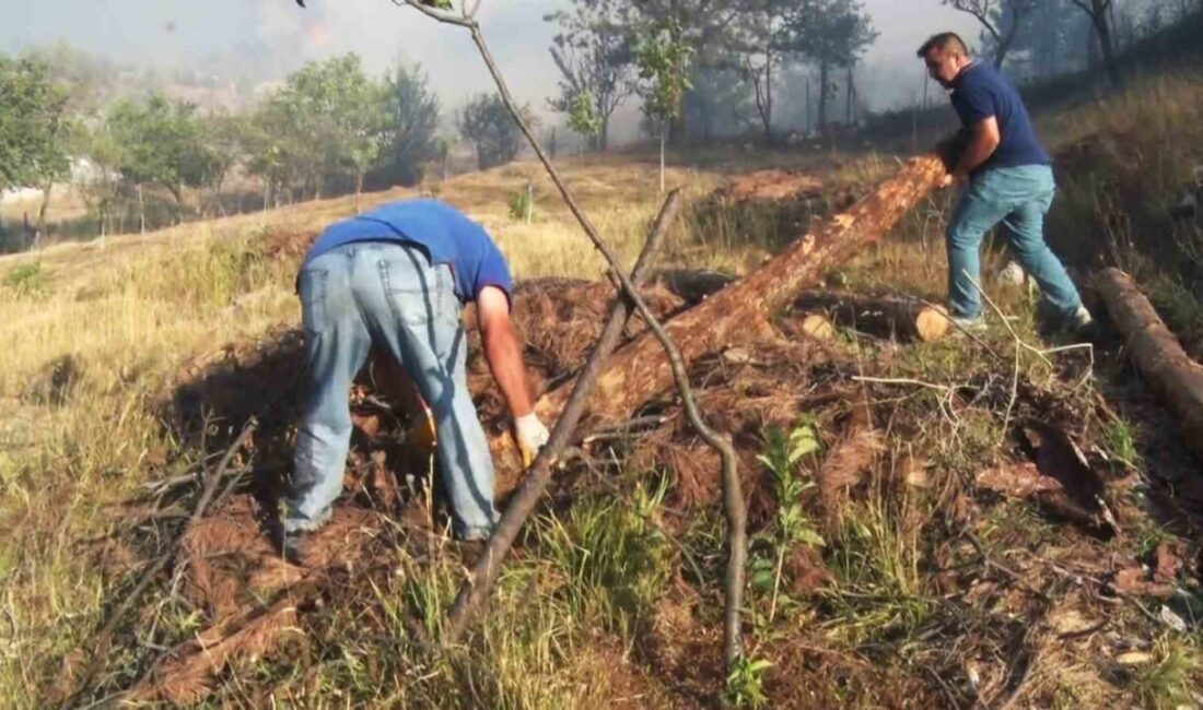 Karabük’ün merkeze bağlı Kabaoğlu Mahallesi Kahyalar köyünde çıkan orman yangını,