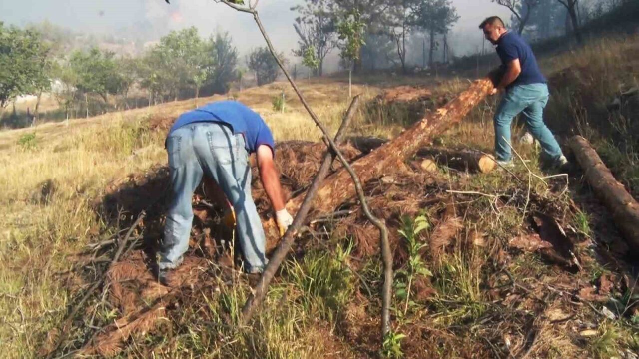 Karabük’ün merkeze bağlı Kabaoğlu Mahallesi Kahyalar köyünde çıkan orman yangını,