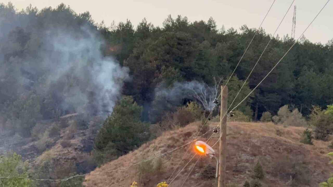 Karabük’ün Ovacık ilçesinde otluk alanda çıkan ve ormana sıçrayan yangın,
