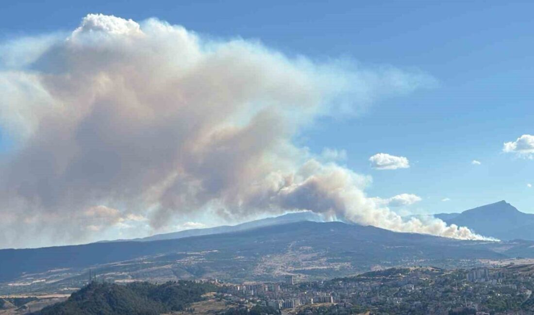 Karabük merkeze bağlı Kahyalar köyünde yangın çıktı. Edinilen bilgiye göre,