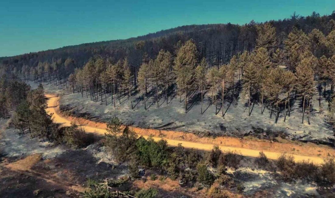 Karabük’ün Eflani ilçesine bağlı Saraycık köyünde başlayarak Safranbolu ilçesine bağlı