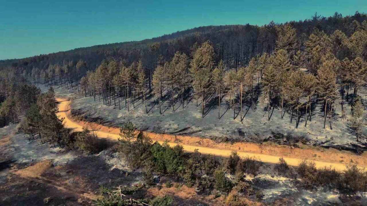 Karabük’ün Eflani ilçesine bağlı Saraycık köyünde başlayarak Safranbolu ilçesine bağlı