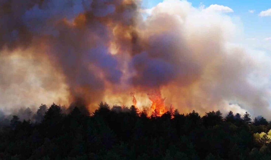 Karabük’ün Safranbolu ilçesine bağlı Harmancık köyünde başlayan ve Eflani ilçesine