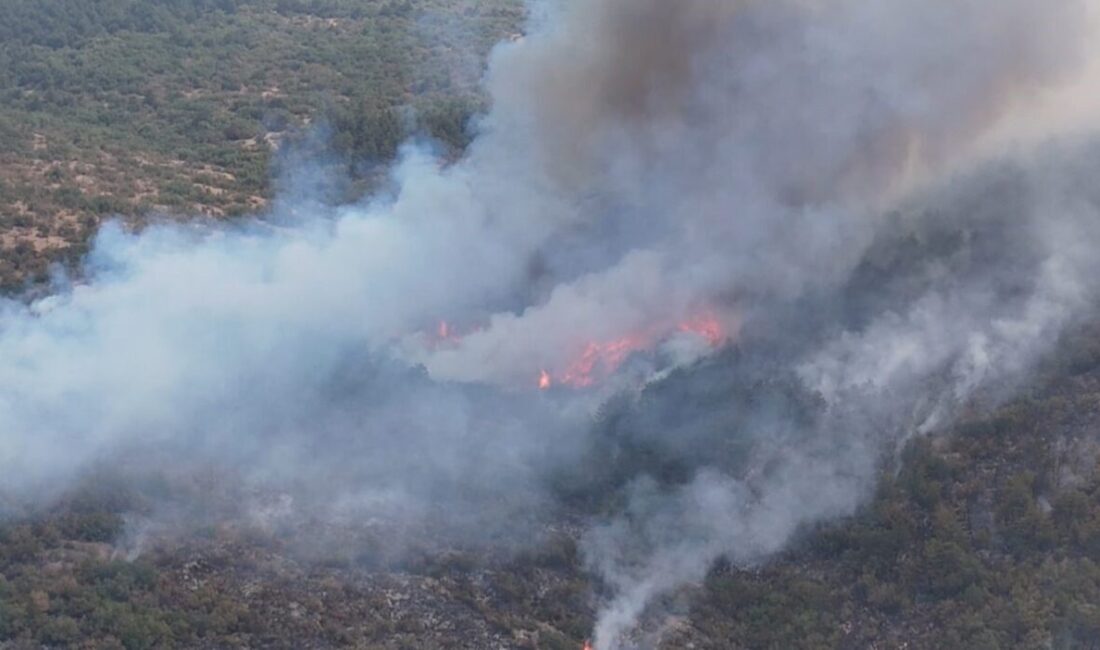 Karabük’ün Eflani ilçesine bağlı Saraycık köyünde çıkan orman yangınıyla ilgili