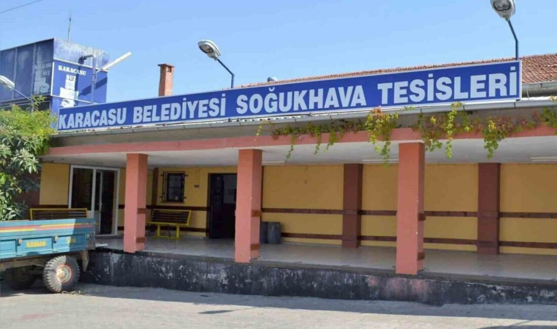 Aydın’ın önemli elma üretim merkezi Karacasu ilçesinde sezon hareketliliği başlarken,