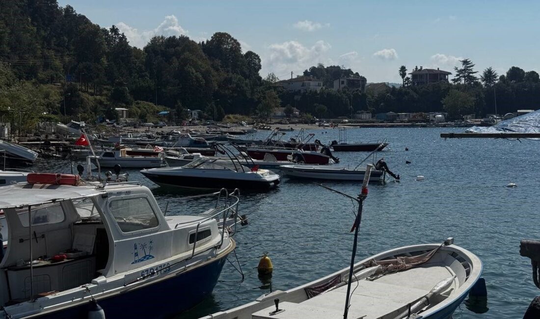 Karadeniz’de av sezonunun açılmasıyla birlikte denize açılan balıkçılar, hamsinin bol