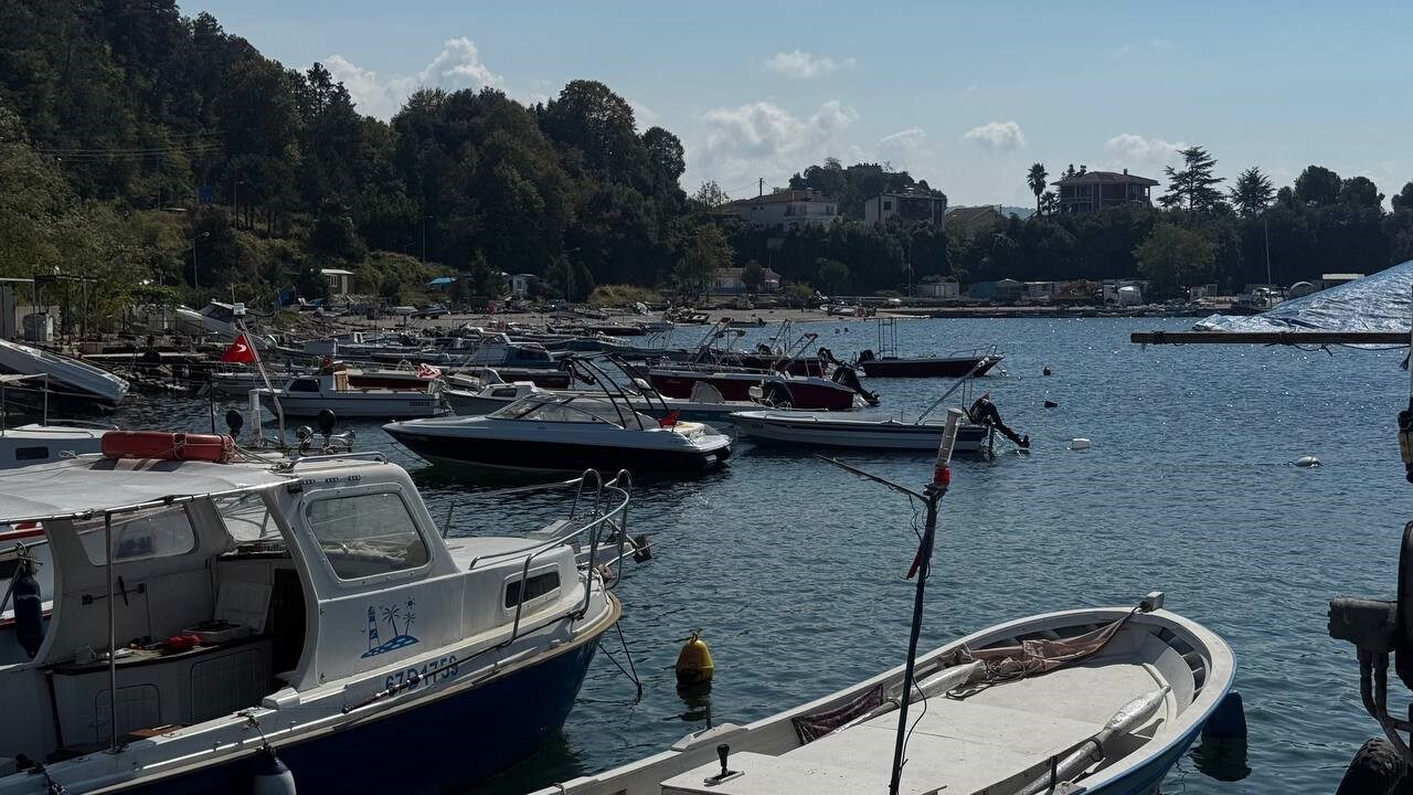 Karadeniz’de av sezonunun açılmasıyla birlikte denize açılan balıkçılar, hamsinin bol