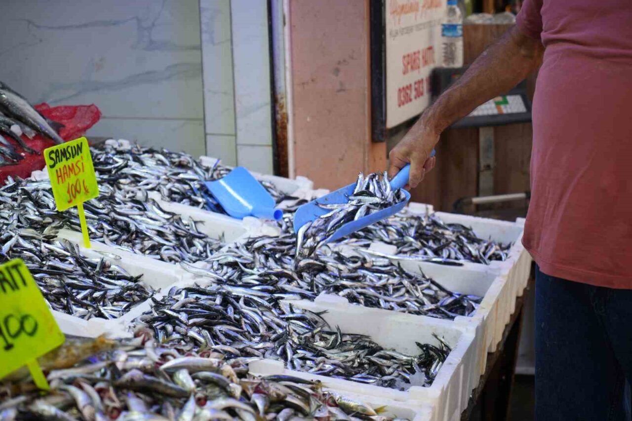 Karadeniz’in incisi hamsi tezgahlarda yerini aldı, hem balıkçının hem de