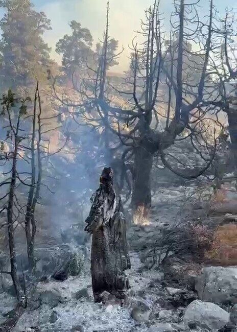 Karaman’ın Ayrancı ilçesinde dağlık alanda çıkan örtü yangını ağaçlık alana