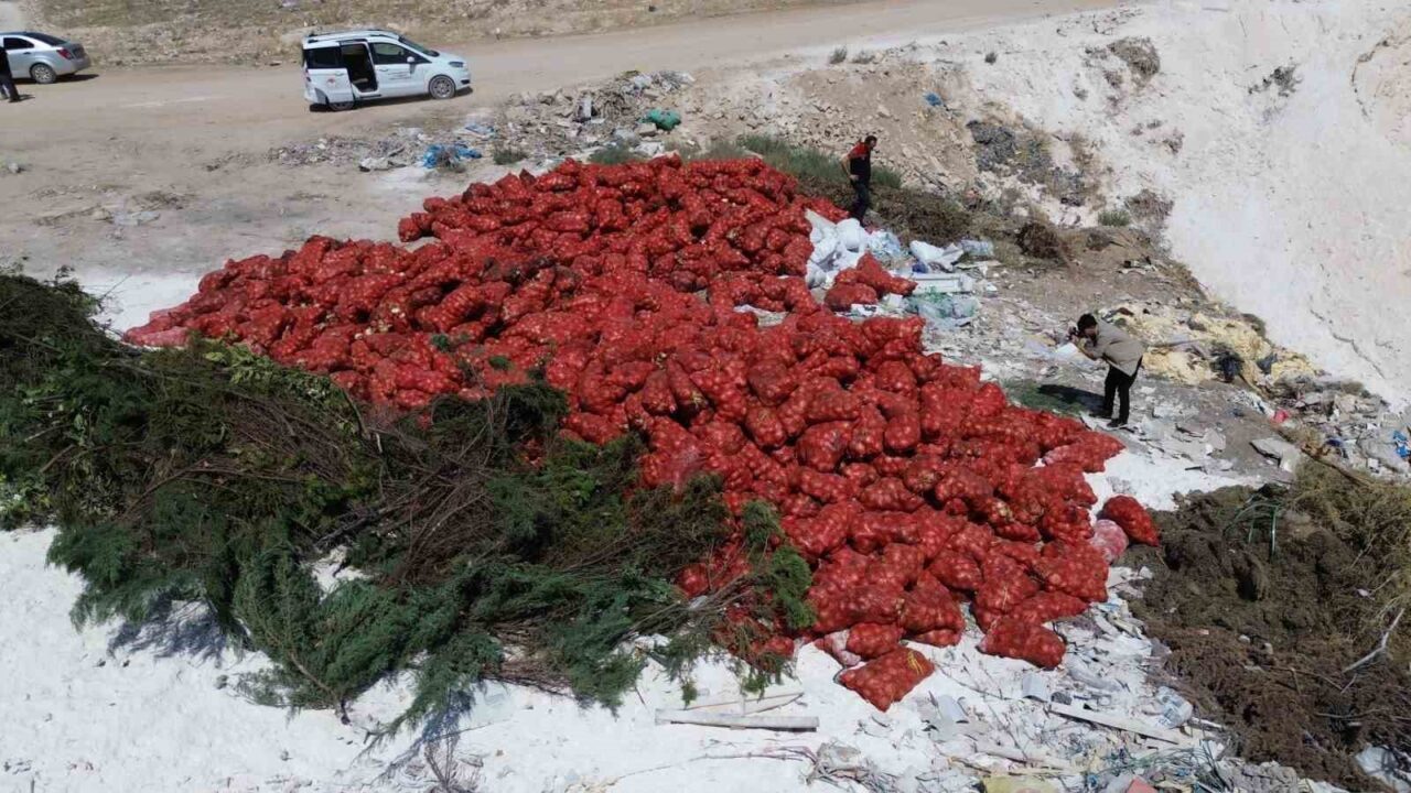 Karaman’da çuvallar dolusu tonlarca kuru soğan boş araziye atılmış halde