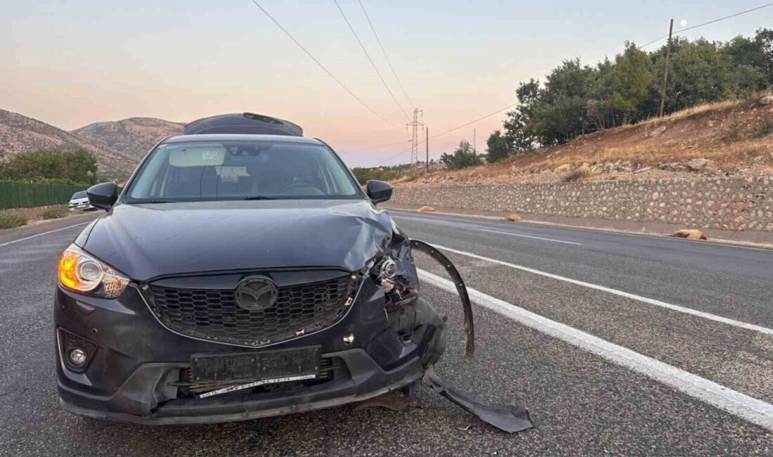 Adıyaman’ın Gölbaşı ilçesinde karayoluna çıkan küçükbaş hayvan sürüsüne çarpması sonucu