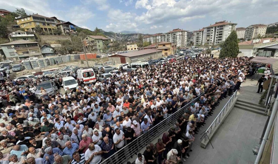 Karabük Demir ve Çelik İşletmeleri (KARDEMİR) A.Ş’de meydana gelen iş