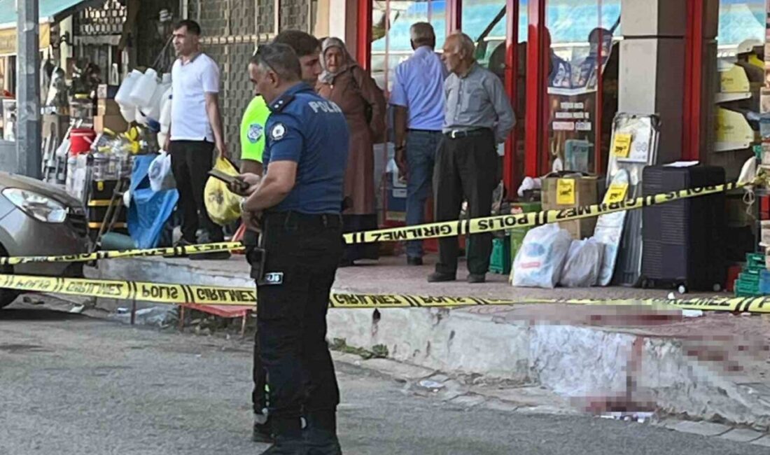 Elazığ’ın Karakoçan ilçesinde kardeşi tarafından defalarca bıçaklanan genç, ağır yaralandı.