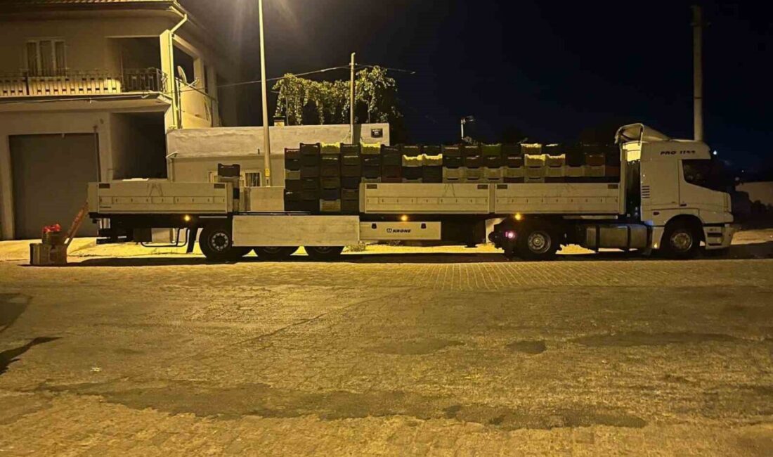 Aydın’ın Efeler ilçesine bağlı Kardeşköy Mahallesi’nde bamya sezonu tüm hızıyla