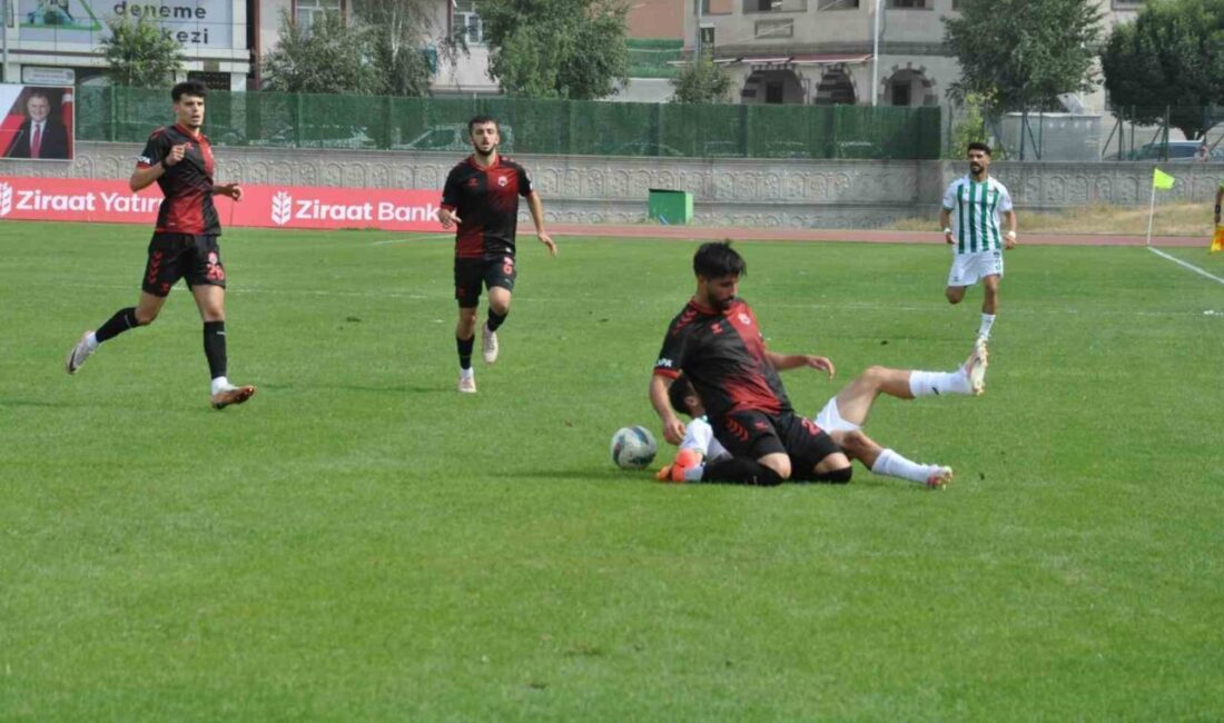 Ziraat Türkiye Kupası 1. tur karşılaşmasında Kars 36 Spor, Anagold