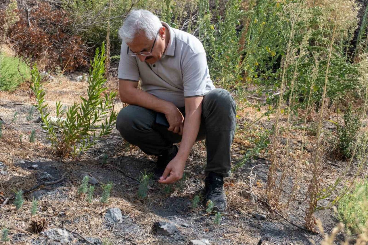 İzmir Orman Bölge Müdürü Mahmut Yılmaz, 18 Ağustos 2024 tarihinde