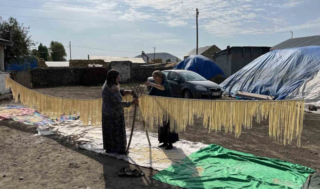 Kars’ta geleneksel bir dayanışma örneği yaşanıyor. Kadınlar, kışlık erzaklarını hazırlamak