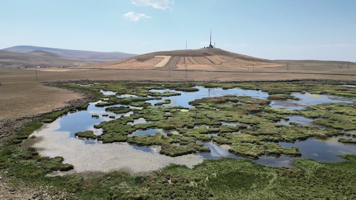 Kars’ta kuraklığın vurduğu Çalı Gölü’nü kuşlar terk etti. Kuş seslerinin