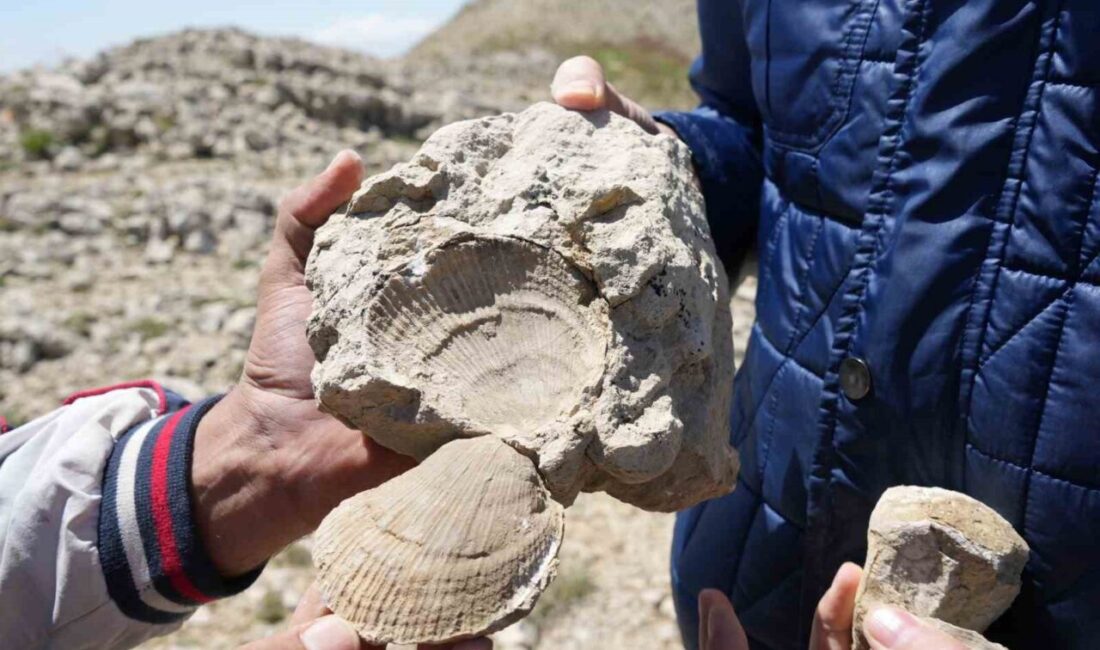 Kastamonu-Çankırı sınırındaki 2 bin 587 rakımlı Ilgaz Dağı’nın Büyük Hacet