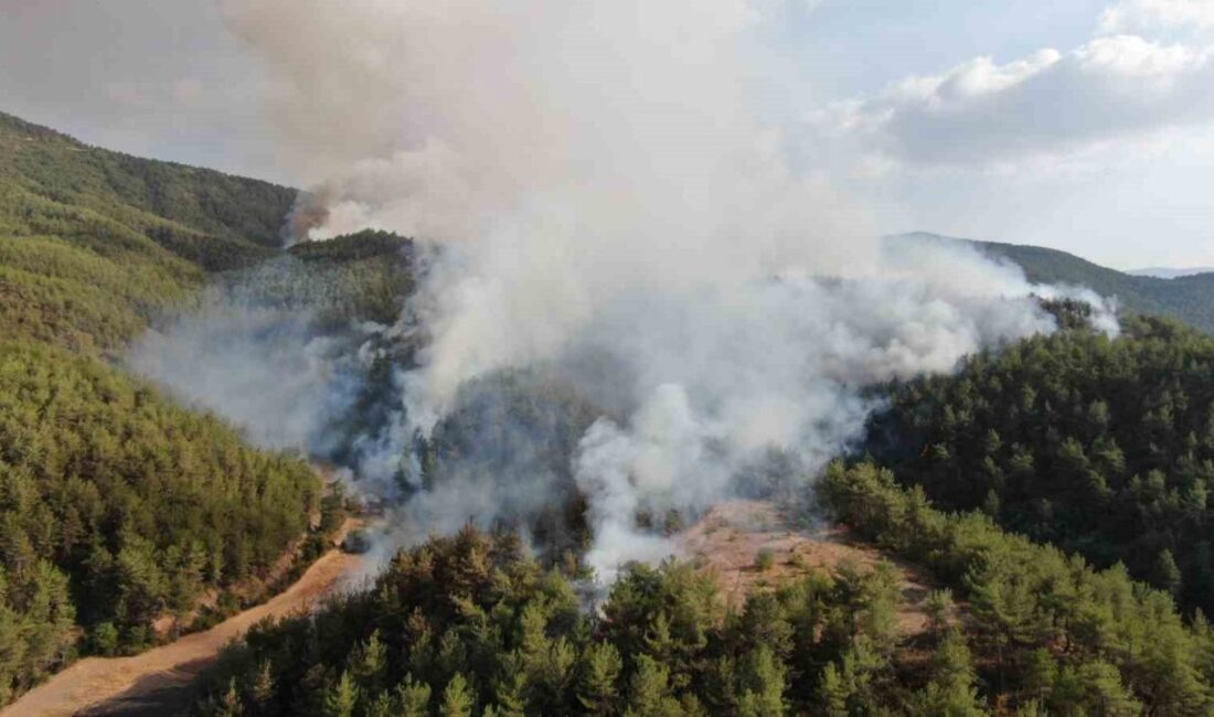 Kastamonu-Karabük sınırında ikinci bir orman yangını çıktı. Yangına hem havadan