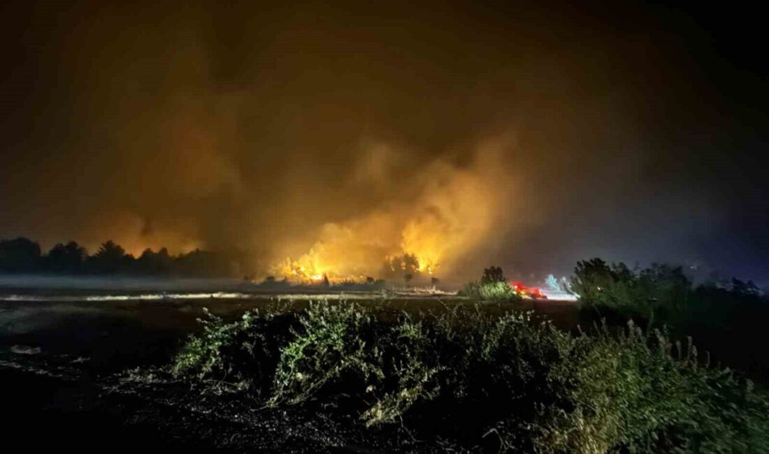 Kastamonu’nun Araç ilçesinden rüzgarın etkisiyle yayılan orman yangını Karabük’ün Safranbolu