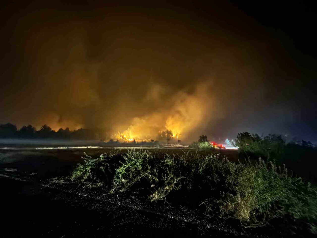 Kastamonu’nun Araç ilçesinden rüzgarın etkisiyle yayılan orman yangını Karabük’ün Safranbolu