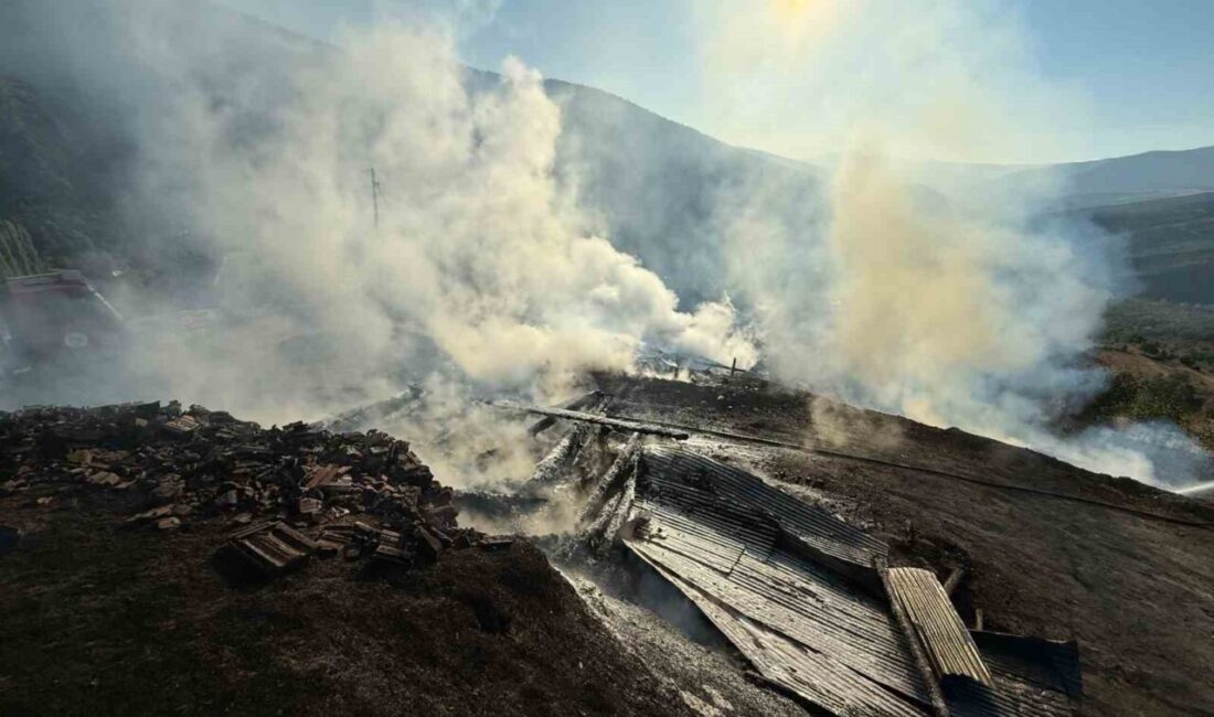 Kastamonu’nun Araç ilçesinde çıkan yangında iki ev ve iki samanlık