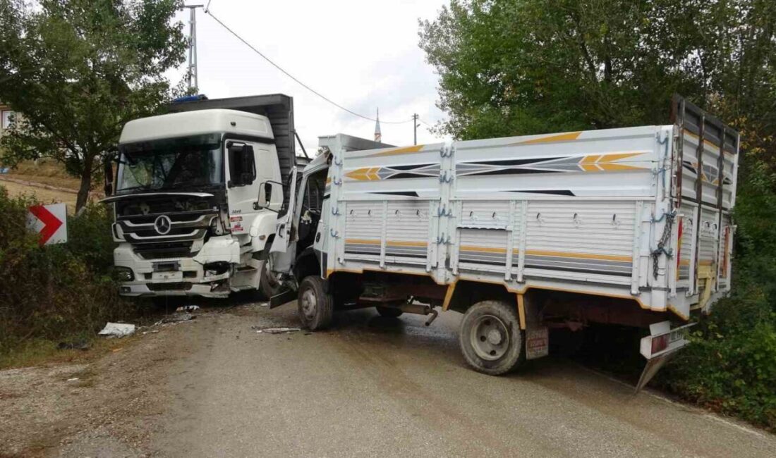 Kastamonu’da iki kamyonun kafa kafaya çarpışması neticesinde meydana gelen kazada