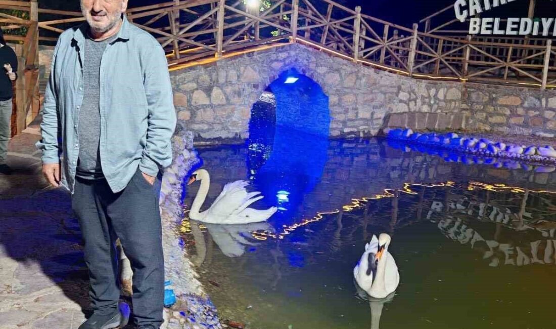 Kastamonu’nun Çatalzeytin ilçesinde incir ağacından düşen şahıs, hayatını kaybetti. Olay,