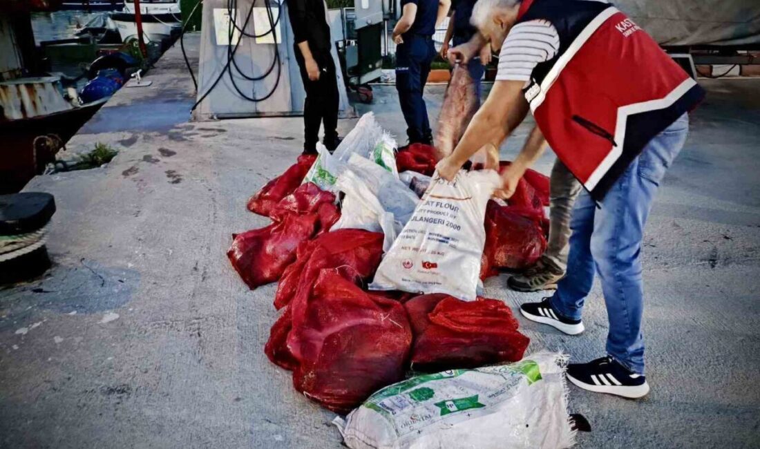 Kastamonu’da gerçekleştirilen denetimde kaçak avlanmış 142 kalkan balığı ele geçirildi.