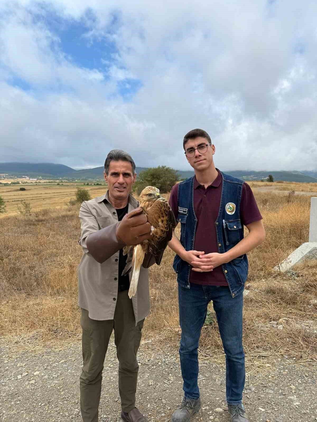 Kastamonu’nun Daday ilçesinde orman işçisi tarafından yaralı halde bulunan şahin