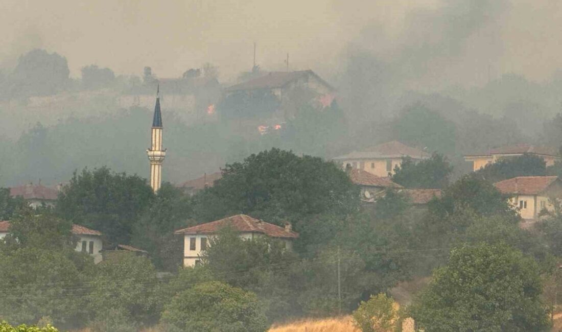 Karabük’te ormanlık alanda çıkan ve Kastamonu’nun Araç ilçesine sıçrayan yangın,