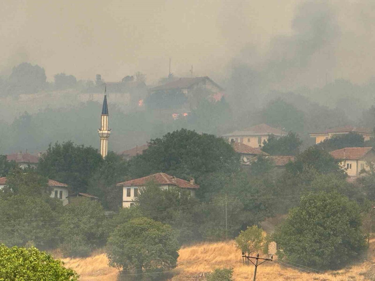 Karabük’te ormanlık alanda çıkan ve Kastamonu’nun Araç ilçesine sıçrayan yangın,