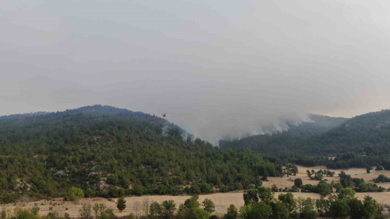 Kastamonu’nun Araç ilçesinde çıkan orman yangınlarının üçüncü gününde süren müdahale