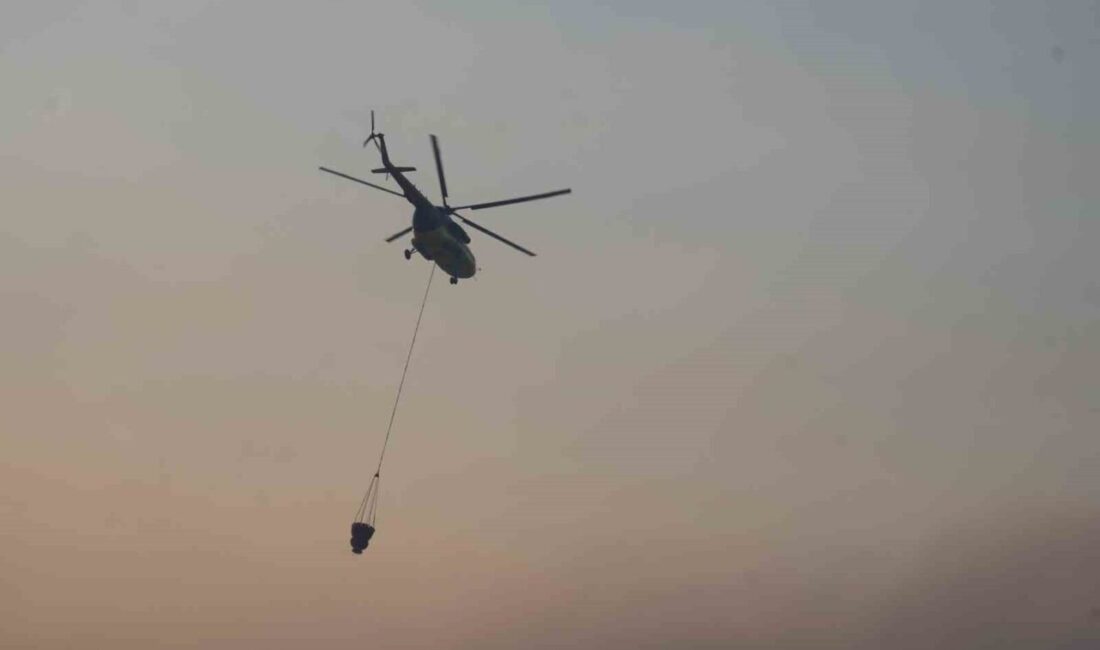 Kastamonu’nun Araç ilçesinde iki farklı noktada çıkan orman yangınları, ikinci