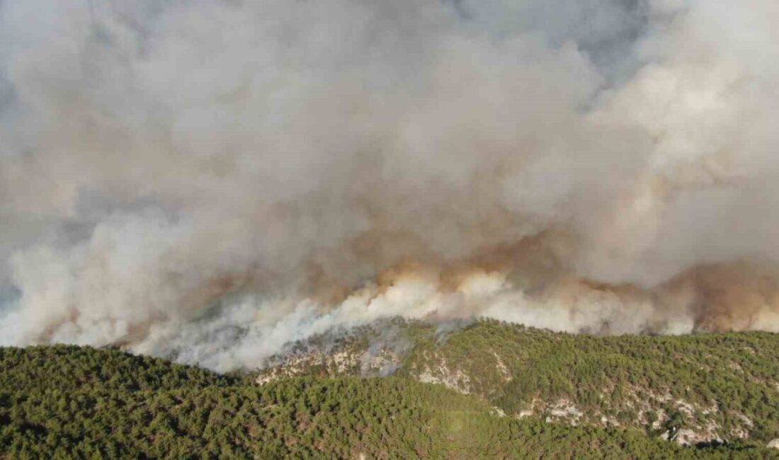Kastamonu Valiliği, Kastamonu-Karabük sınırında çıkan iki orman yangınında 2 bin