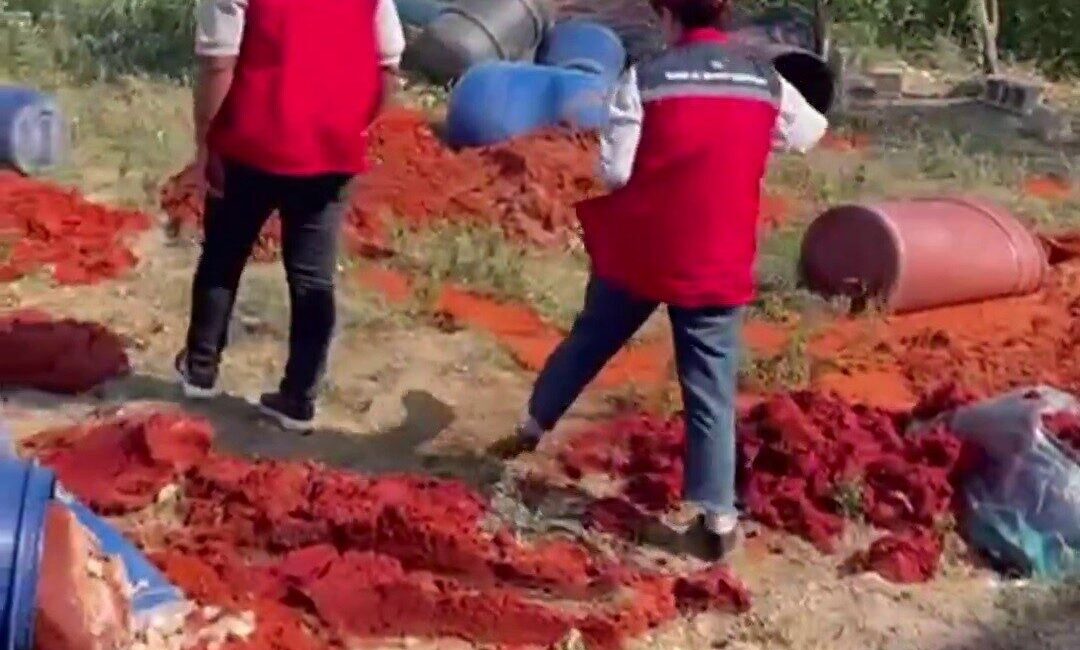 Hatay’da Tarım ve Orman İl Müdürlüğü ekiplerinin denetimleri esnasında katkı