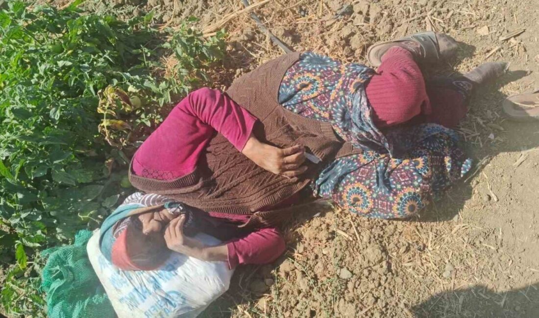 Eskişehir’de kaybolan alzheimer hastası 74 yaşındaki Hatun Işıksoy sağ salim