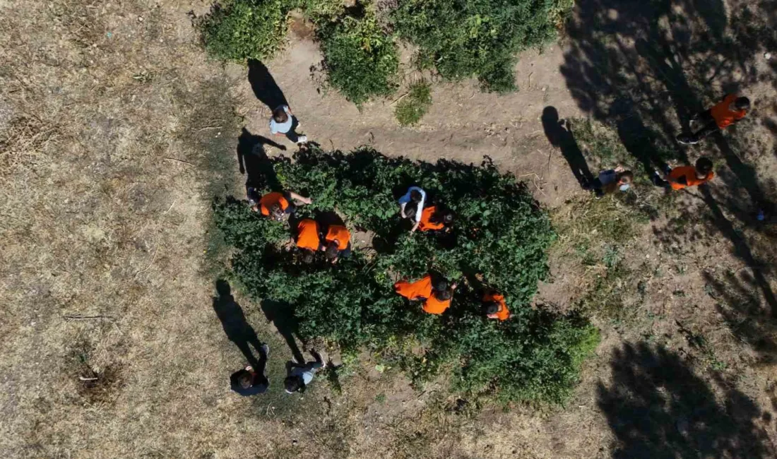 Kayseri’nin Sarıoğlan ilçesinde ilköğretim okulu öğrenciler; okul bahçesinde kurulan meyve