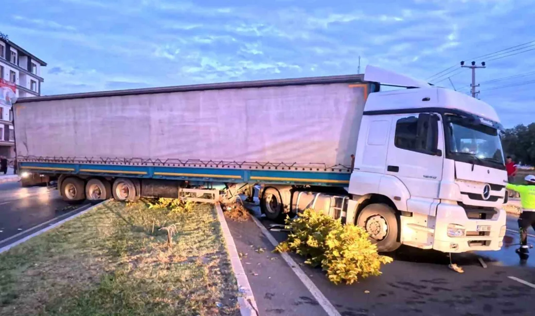 Aksaray’da kediye çarpmamak için sürücüsünün manevra yaptığı tır, karşı şeride