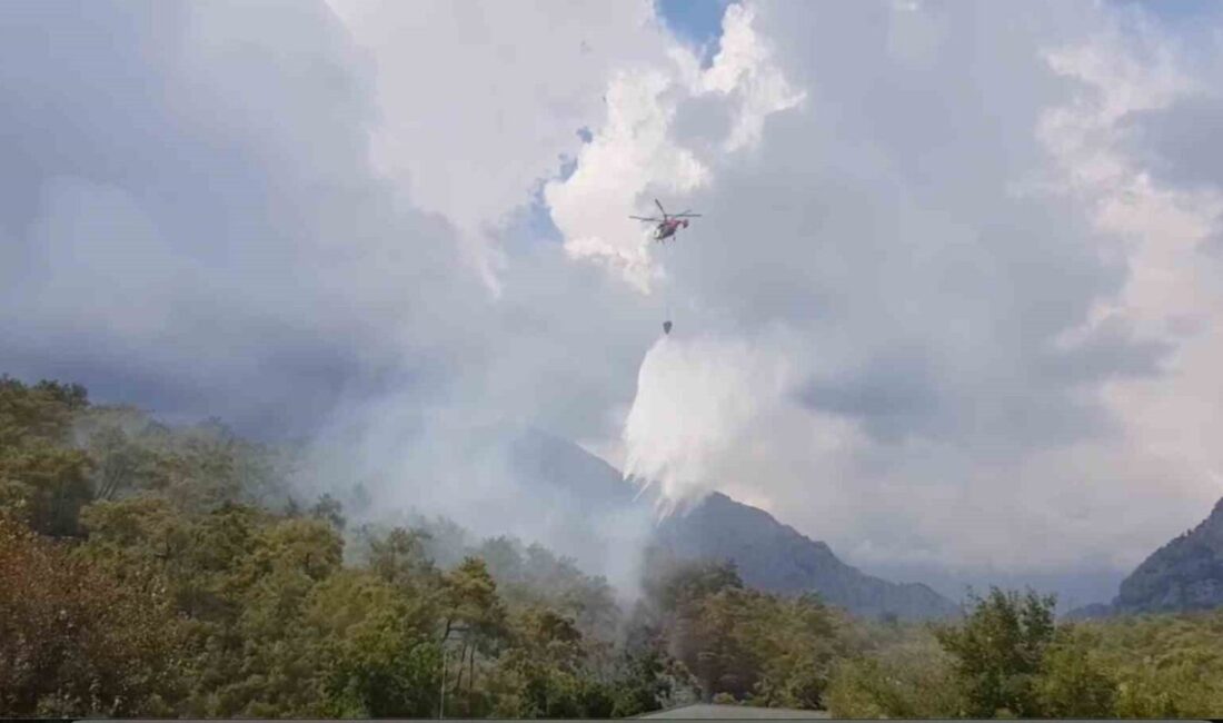 Antalya’nın Kemer ilçesi Arslanbucak Mahallesi ormanlık alanda çıkan orman yangını