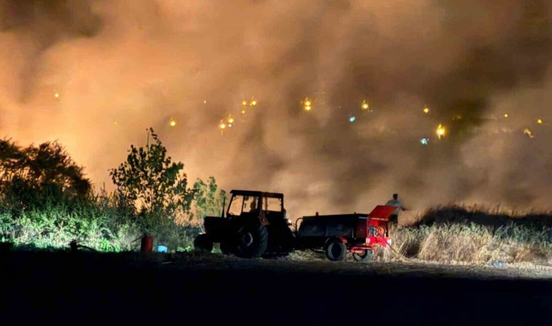 Edirne’nin Keşan ilçesine bağlı Mecidiye köyündeki Adalık Mevkii’nde çıkan yangın,
