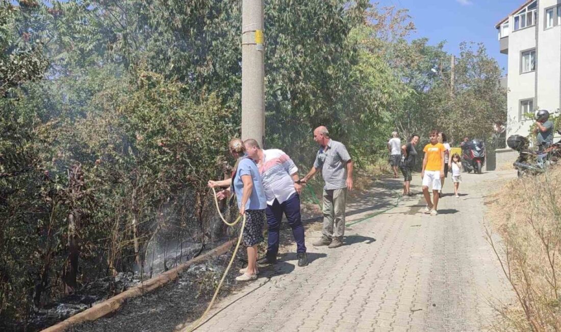 Edirne’nin Keşan ilçesinde çıkan ot yangını, mahallelinin hortumlarla müdahalesiyle evlere
