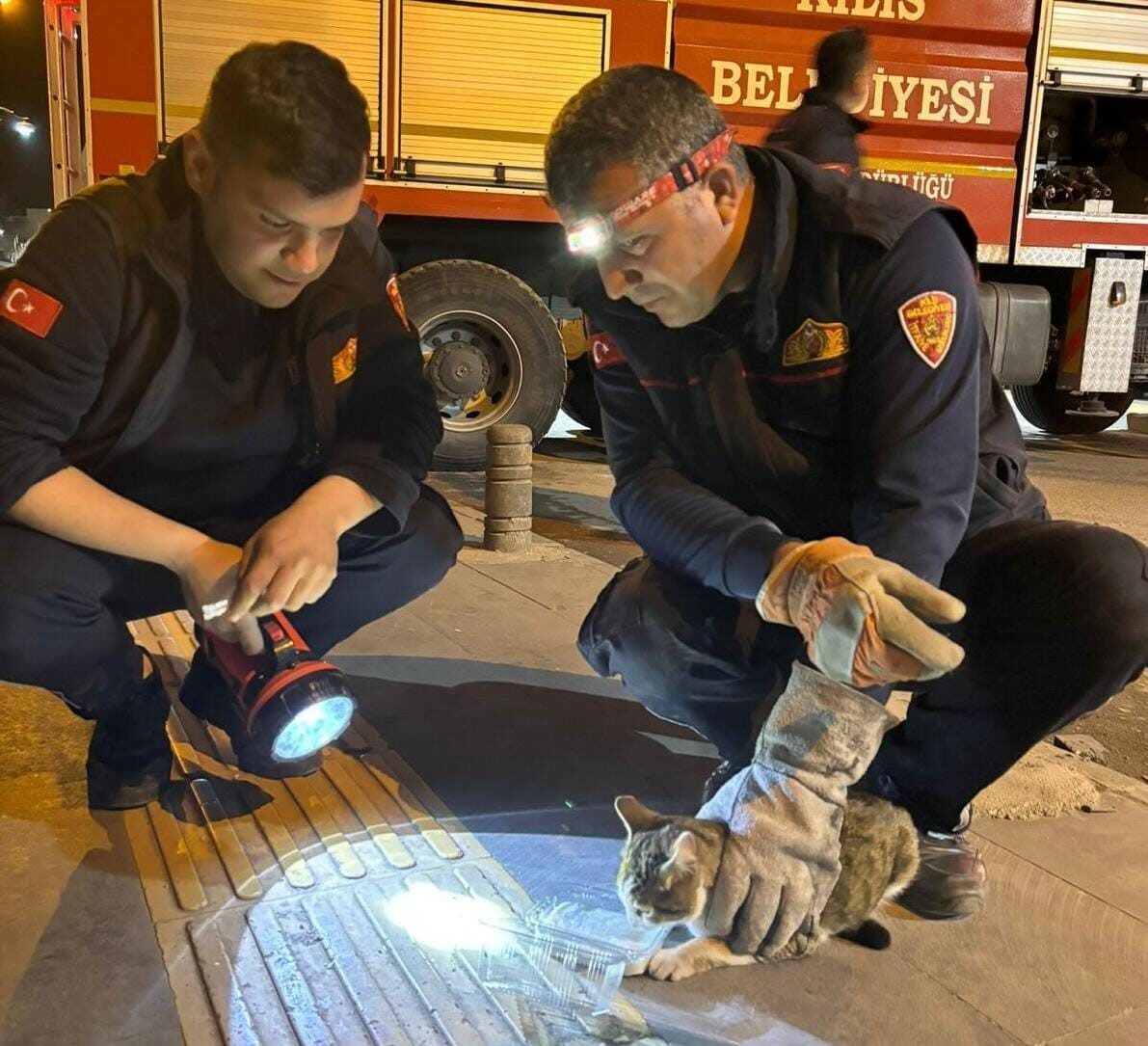 Kilis’te 3 gündür ağaçta mahsur kalan bir kedi, itfaiye ekiplerinin