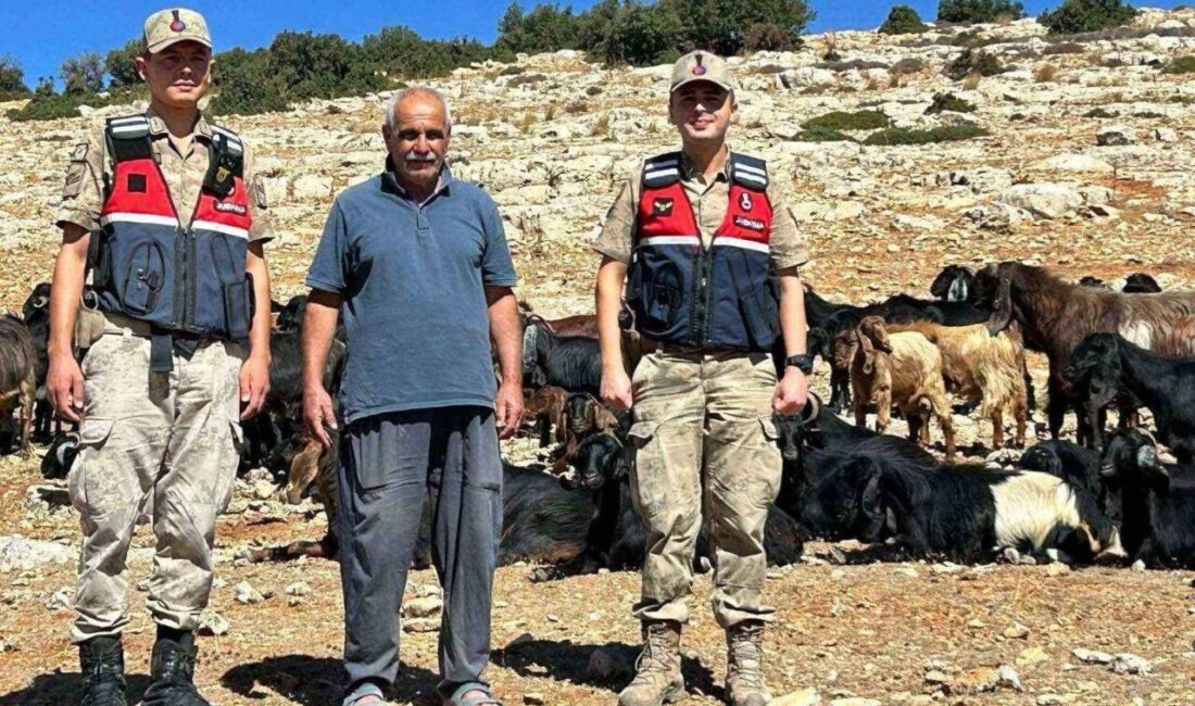 Kilis’in Merkez ilçesine bağlı Tamburalı Köyünde kaybolan 100 küçükbaş hayvan,